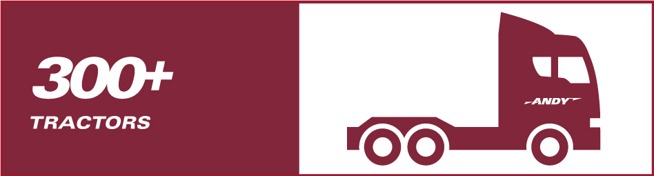 Network-size-1-2 Network-size-1-2